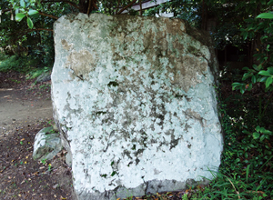 今なお現存している江戸時代後期に建てられた津波の碑