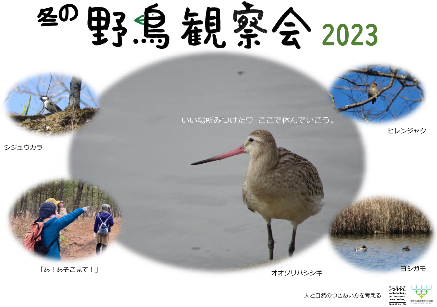 冬の野鳥観察会2023
