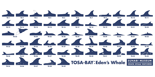 館長一覧手ぬぐい